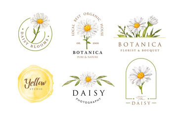 Fototapeta na wymiar Watercolor daisy flower feminine logo design template
