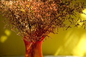 Red vase with dried flowers on  yellow background casting shadows . Minimal modern interior...