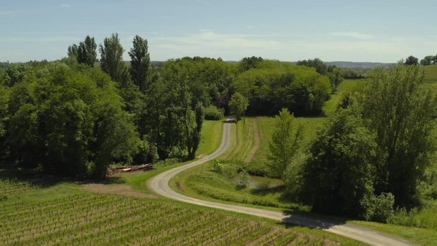 Aerial drone footage over Castillon, Bordeaux vineyard, in a valley, with curvy road