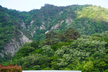 那須高原