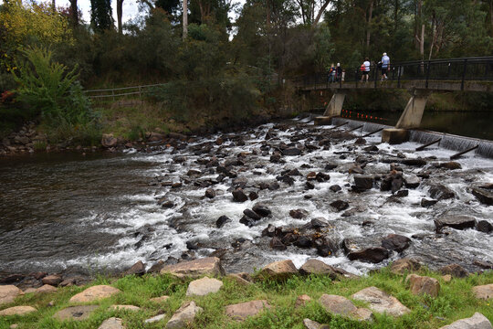 Ovens River At Bright, Victoria