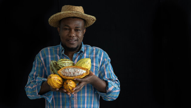 Happy African Man Or Farmer Holding Cacao Or Cocoa Fruits In Arms, Looking At Camera On Black Background With Copy Space.