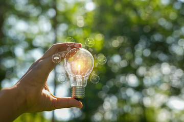 Light bulbs that grow, in the concept of energy in nature.