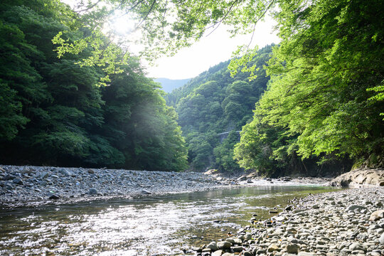 夏の田舎の川のイメージ　とてもきれいな渓流沿い	
