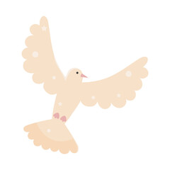 cartoon dove icon