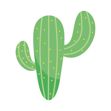 green cactus icon