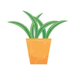 plant in orange pot