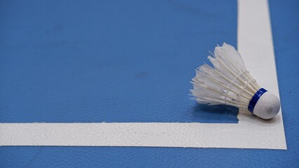 Badminton shuttlecock in line badminton court 
