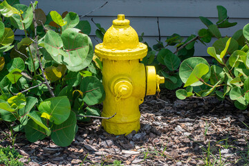 yellow fire hydrant on grass