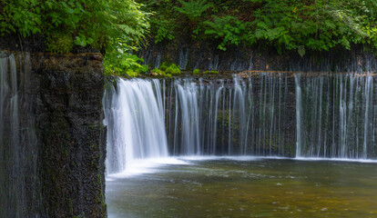 Fototapeta na wymiar 涼やかな朝の白糸の滝