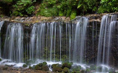 Fototapeta na wymiar 涼やかな朝の白糸の滝