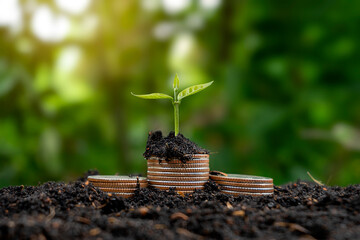 A seedling growing on a pile of coins has a natural backdrop, blurry green, money-saving ideas, and...