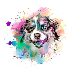 Keuken spatwand met foto dog head with creative colorful abstract elements on light background © reznik_val