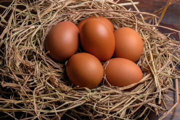 fresh chicken eggs in straw on wooden background