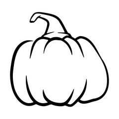 Pumpkin - squash for Halloween or Thanksgiving line art icon