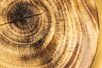 Blurred wood texture