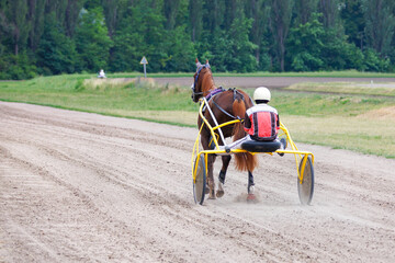 Obraz premium A jockey on a chariot with a horse does a warm-up warm-up before the race.