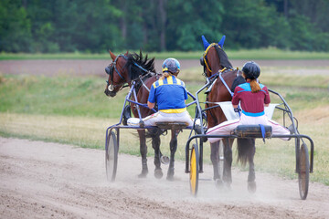 Women jockeys walk their horses on chariots on a summer day.