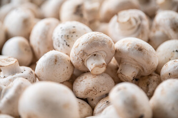 Pile of fresh harvested organic white champignons at street market. Popular commercially cultivated edible mushrooms.