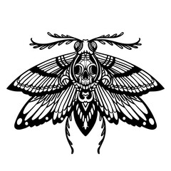 Obraz premium Death Moth Zentangle
