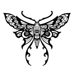 Obraz premium Death Moth Zentangle