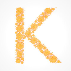 Capital letter K made from orange flowers and petals isolated on white background. Design element. Floral font. Flowers letters. Summer font. 3d illustration
