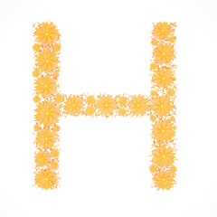 Capital letter H made from orange flowers and petals isolated on white background. Design element. Floral font. Flowers letters. Summer font. 3d illustration