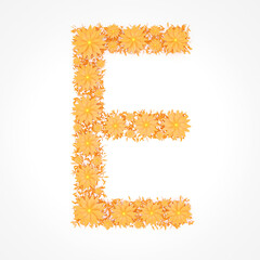 Capital letter E made from orange flowers and petals isolated on white background. Design element. Floral font. Flowers letters. Summer font. 3d illustration