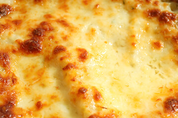 Concept of delicious Italian cuisine food - Lasagna, closeup