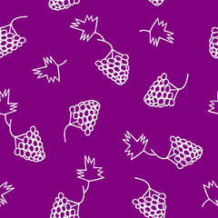 grapes seamless pattern hand drawn in doodle. fruits in a simple line style