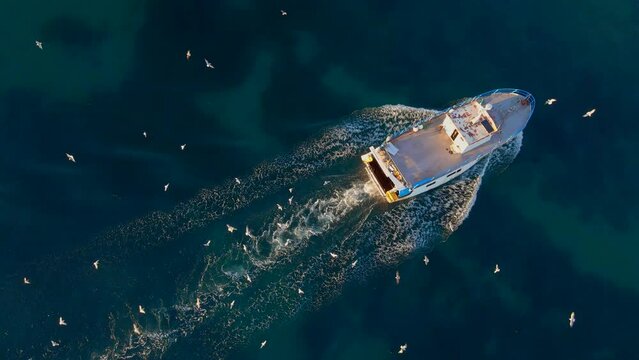 Aerial video. Slow Motion shot. A moving big fisherman boat is followed by a flock of seagulls