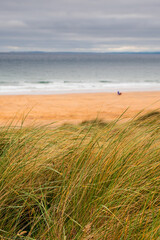 Tall grass grows on sandy dune by the ocean. Cloudy sky. Nature landscape. Calm and peaceful mood. West of Ireland.