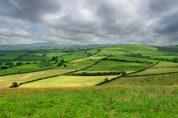 Fototapeta na wymiar Agricultural land in county Tipperary, Ireland. Irish rural landscape. Green grass fields with cows on a hills. Cloudy sky. Agriculture and food supply industry. Country side with meadows.
