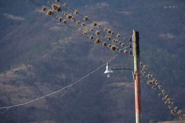 San Bartolomé Jocotenango,  municipio del departamento de Quiché, Guatemala, America Central
