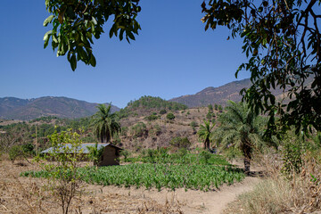 huerto con miniriegos financiados por el govern Balear, Sinchaj, San Bartolomé Jocotenango,  municipio del departamento de Quiché, Guatemala, America Central