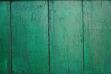 Fototapeta na wymiar Texture of an old fence made of wooden boards painted green color, close-up