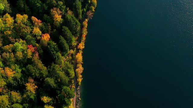 Jura - Drone view of trees bordering a lake in autumn