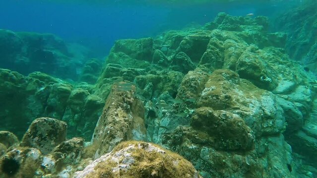 Sardinia - Spiaggia di Cala Canneddi - Cala Rossa - Looking at fishes swimming between rocks