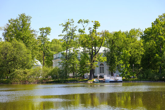 EkaterinaBilder StockFotos & Videos. Adobe Stock