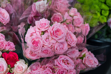 Lots of pink flowers in plastic in a flower shop in Lund Sweden