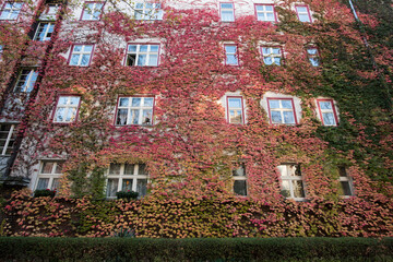 Fototapeta na wymiar Autumn Varnhagenstrasse in Berlin-Prenzlauer Berg.