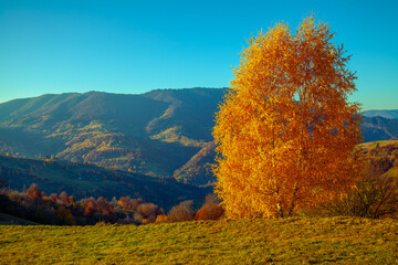 Mountain landscape on an autumn sunny day