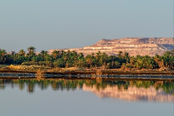 view of the river in the city