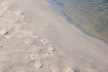 close up of footprints on sandy beach