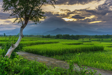 beautiful green landscape with high mountains in bengkulu, indonesia