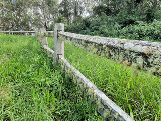 Decaying and lichen covered fence in the Australian bush
