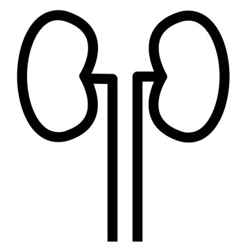 recommend clip art: kidney kidneys medical organ outline icon