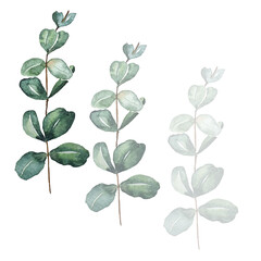 Set of watercolor floral illustrations - collection of green leaves, eucalyptus, olive, green leaves for wedding stationery, greetings, wallpaper, fashion, background. 