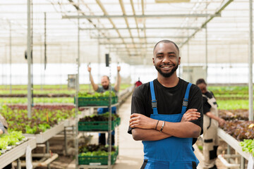 Portrait of smiling african american in modern greenhouse with workers preparing crates of organic food for delivery. Bio crops farmer posing happy in hydroponic enviroment for growing green crops.