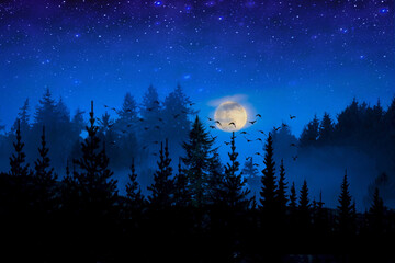 Naklejka premium Paisaje de un bosque nocturno con luna llena